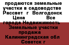 продаются земельные участки в садоводстве “Рассвет“ г. Волгодонск › Цена ­ 80 000 - Все города Недвижимость » Земельные участки продажа   . Калининградская обл.,Советск г.